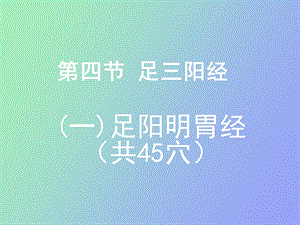 淮阴卫校足阳明胃经.ppt