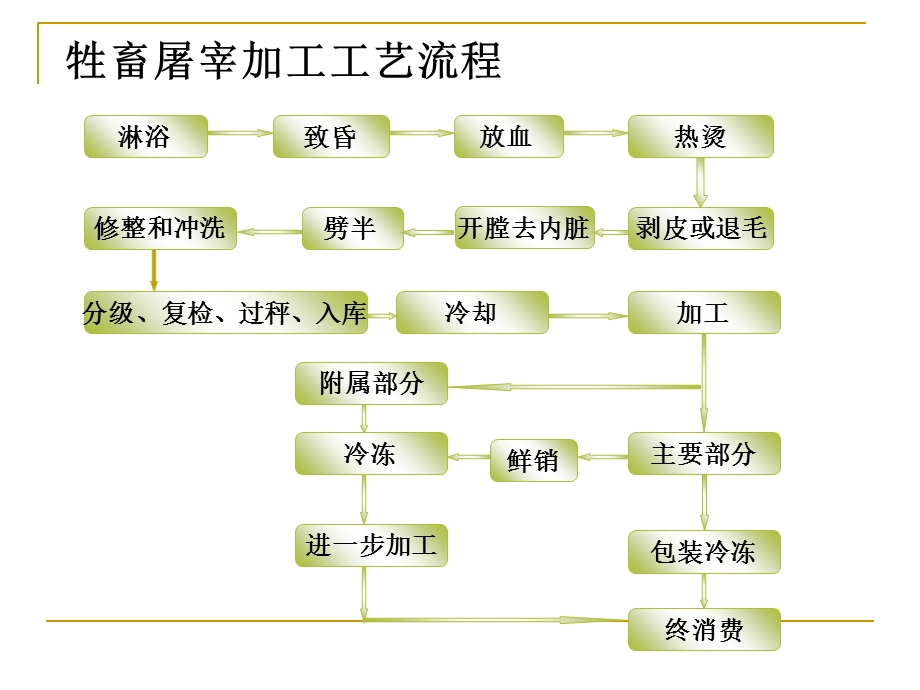 畜禽屠宰加工工艺.ppt_第3页