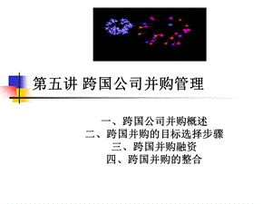 跨国公司并购管理.ppt