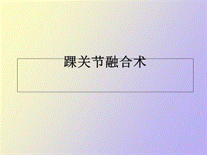 踝关节融合术.ppt