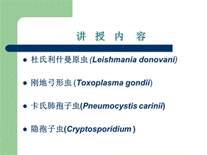 杜氏利什曼原虫刚地弓形虫卡氏肺孢子虫隐孢子虫.ppt