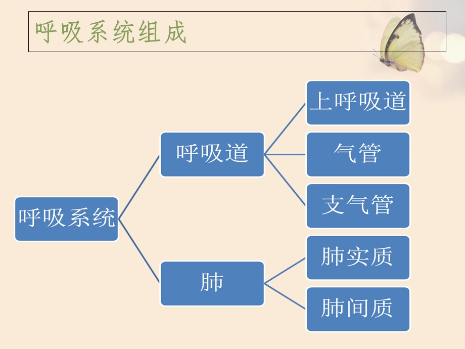 肺功能检查的操作流程、目的及注意事项.ppt_第3页