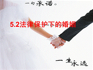 法律保护下的婚姻.ppt