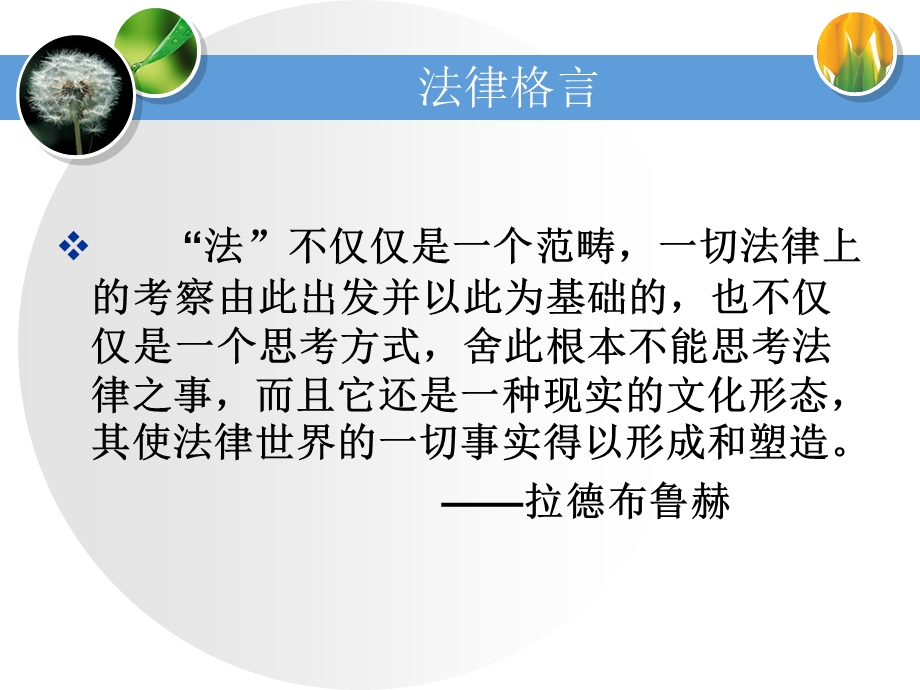 法理学导论 第一章 法.ppt_第2页