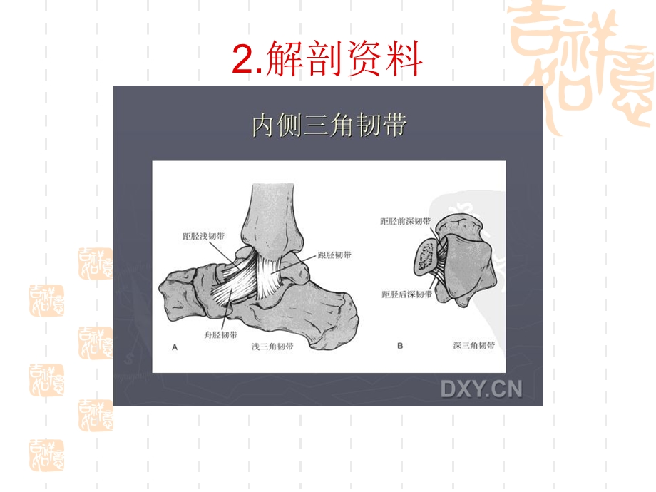 踝关节骨折脱位Lauge-hansen分型.ppt_第2页