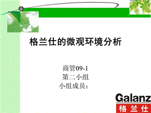 格兰仕的微观环境分析.ppt