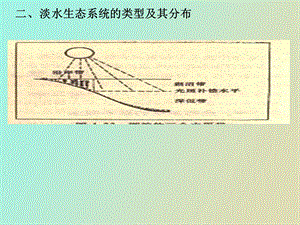 淡水生态系统的类型及其分布.ppt