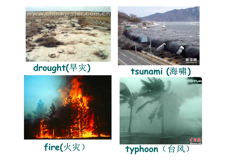 概念英语第二册-第.ppt_第3页