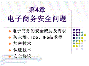 电子商务安全问题.ppt