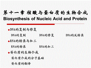 核酸与蛋白质的生物合成.ppt