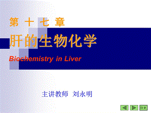 肝的生物化学BiochemistryinLiver.ppt