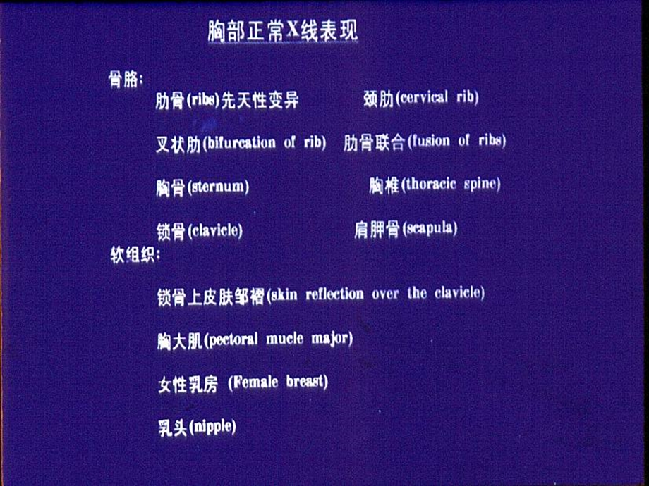 肺部正常影像学解剖.ppt_第2页