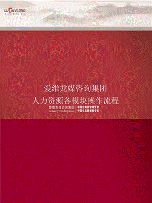 爱维龙媒人力资源咨询案例-人力资源各模块操作流程.ppt