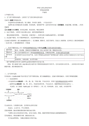 呼吸消化系统、激素 知识讲解（2023年）.docx