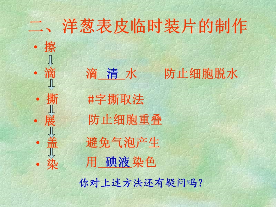 观察动植物细胞结构.ppt_第3页