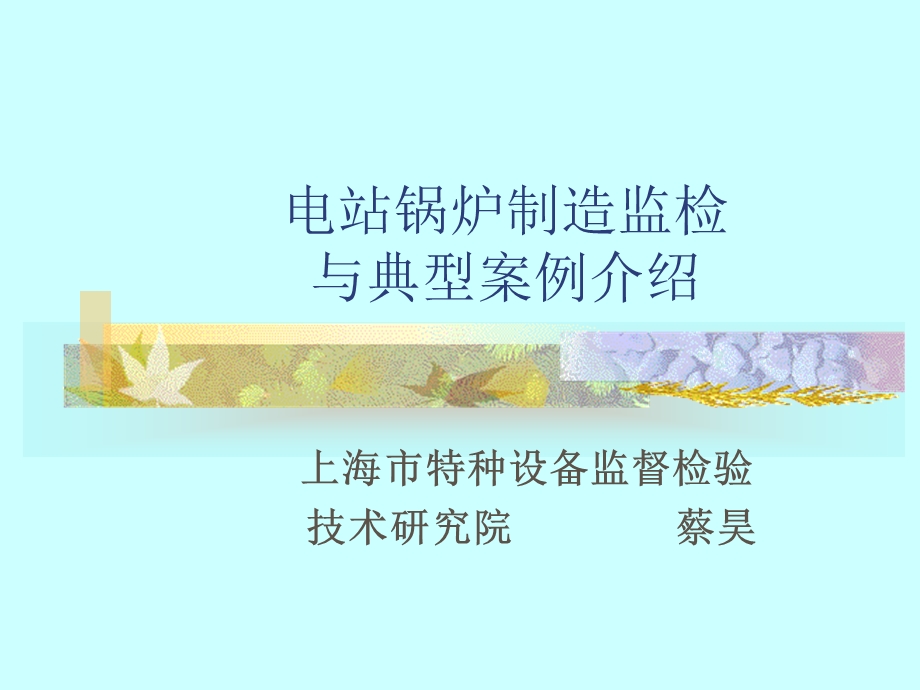 电站锅炉检验人员上课讲义-蔡昊.ppt_第1页