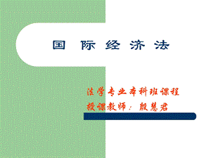 法学专业本科班课程授课教师殷慧君教学课件.ppt