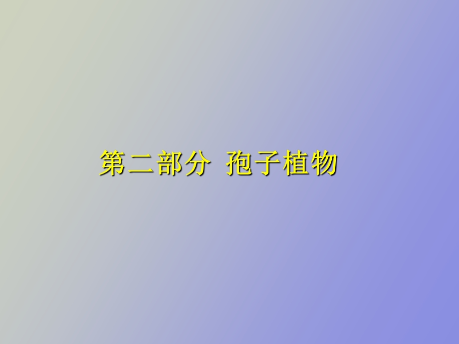 部分孢子植物.ppt_第1页