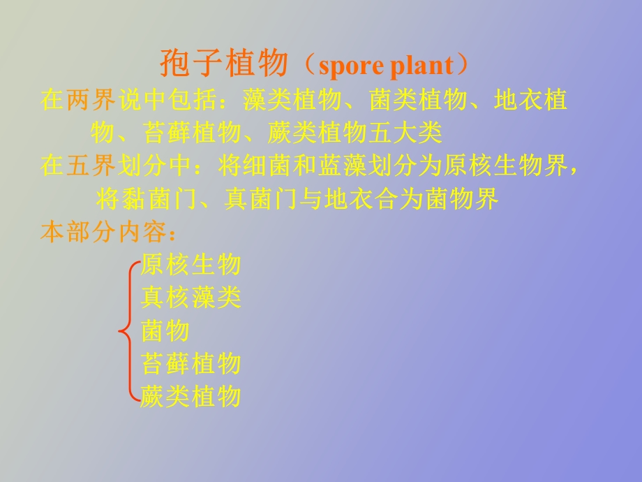 部分孢子植物.ppt_第2页