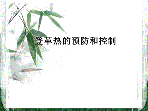 登革热的预防和控制.ppt