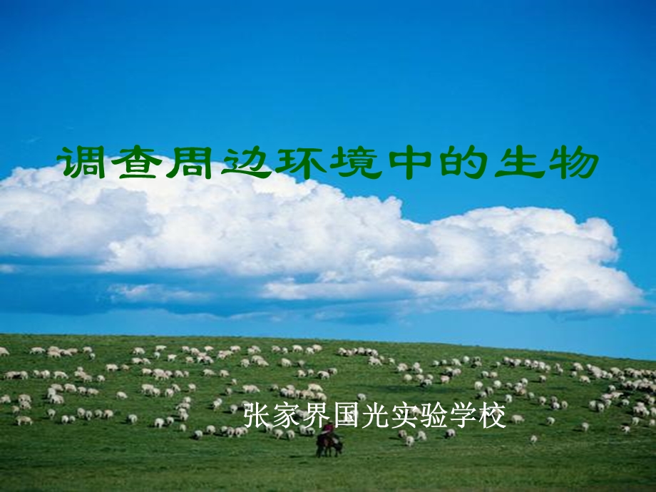 调查周边环境中的生物正式.ppt_第1页