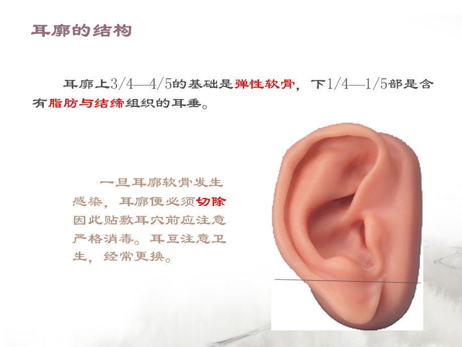 耳穴记忆法、定位法.ppt_第2页