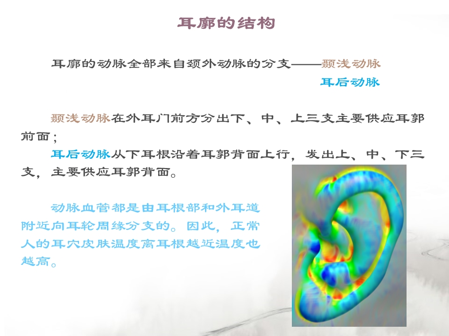 耳穴记忆法、定位法.ppt_第3页