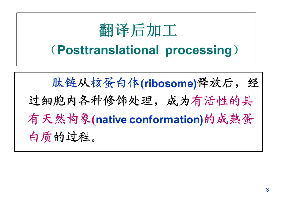 蛋白质加工与输送.ppt_第3页