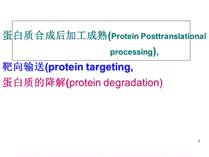 蛋白质加工与输送.ppt