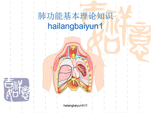 肺功能基础理论-肺功能仪基础理论.ppt