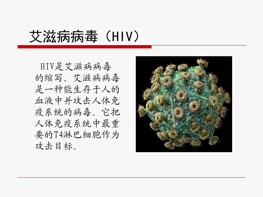 艾滋病防治知识培训PPT.ppt_第2页