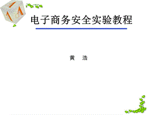 电子商务安全与管理实验教程课件.ppt