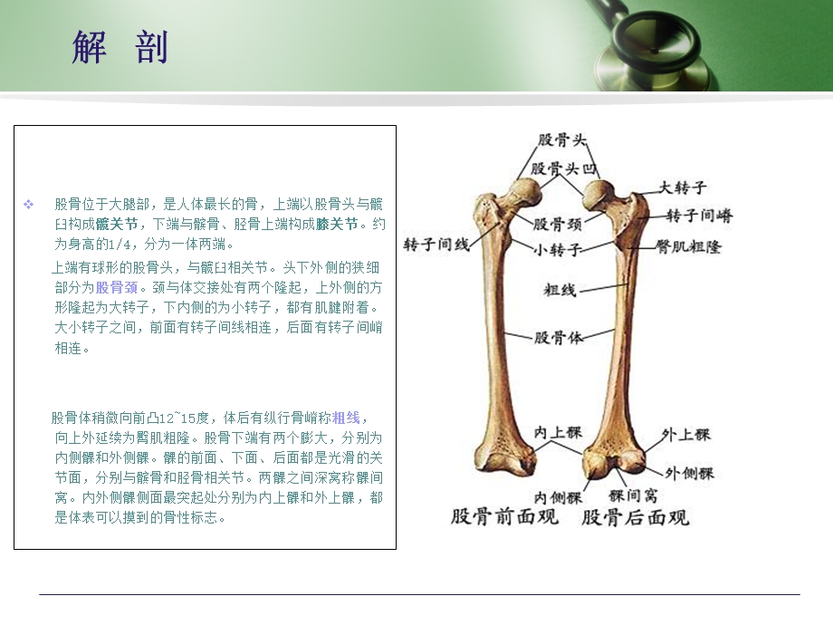 股骨髓内钉内固定术.ppt_第3页