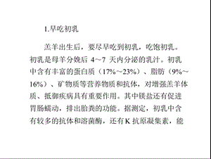 羔羊的饲养管理技术要点.ppt