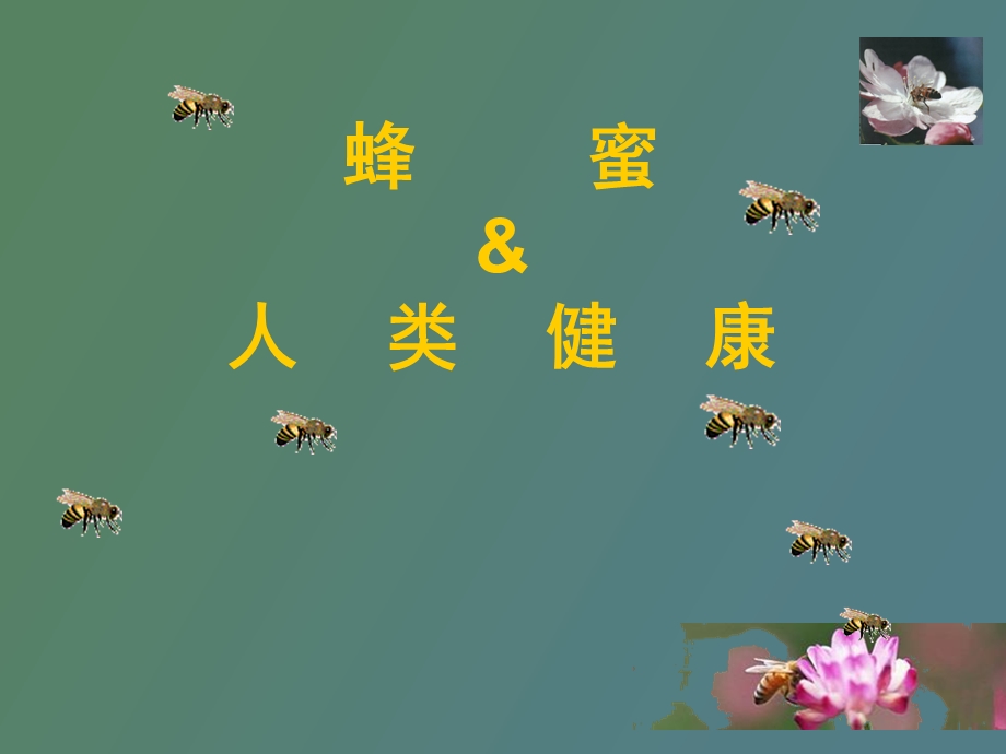 蜂蜜与人类健康.ppt_第1页