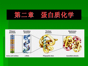 蛋白质化学-第一部分.ppt