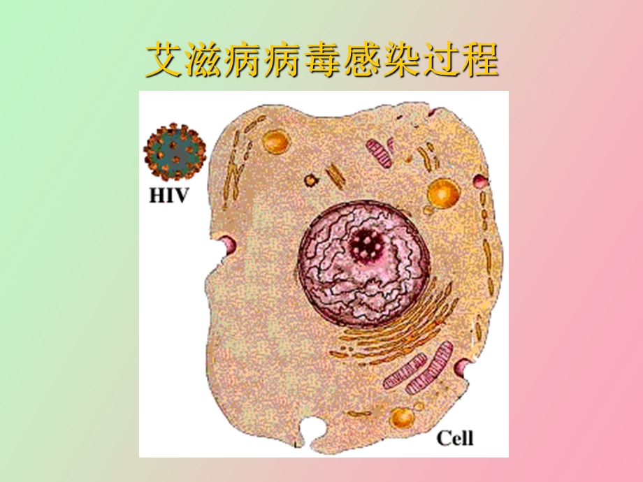 艾滋病防治与医务人员职业暴露防护.ppt_第3页