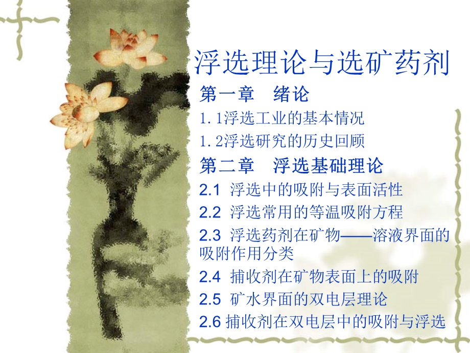 浮选理论与选矿药剂.ppt_第1页