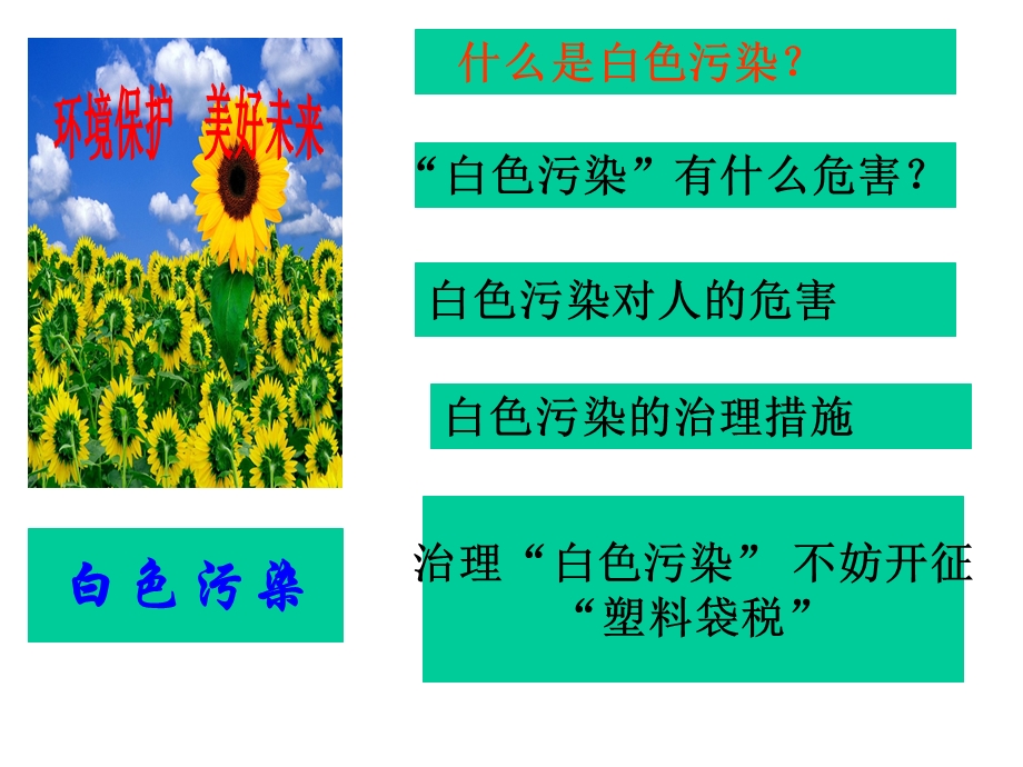 白色污染的防治.ppt_第2页