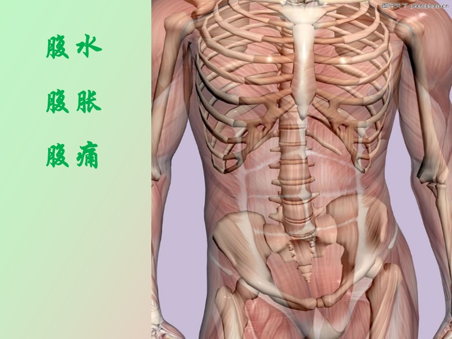 腹水腹胀腹痛.ppt_第2页