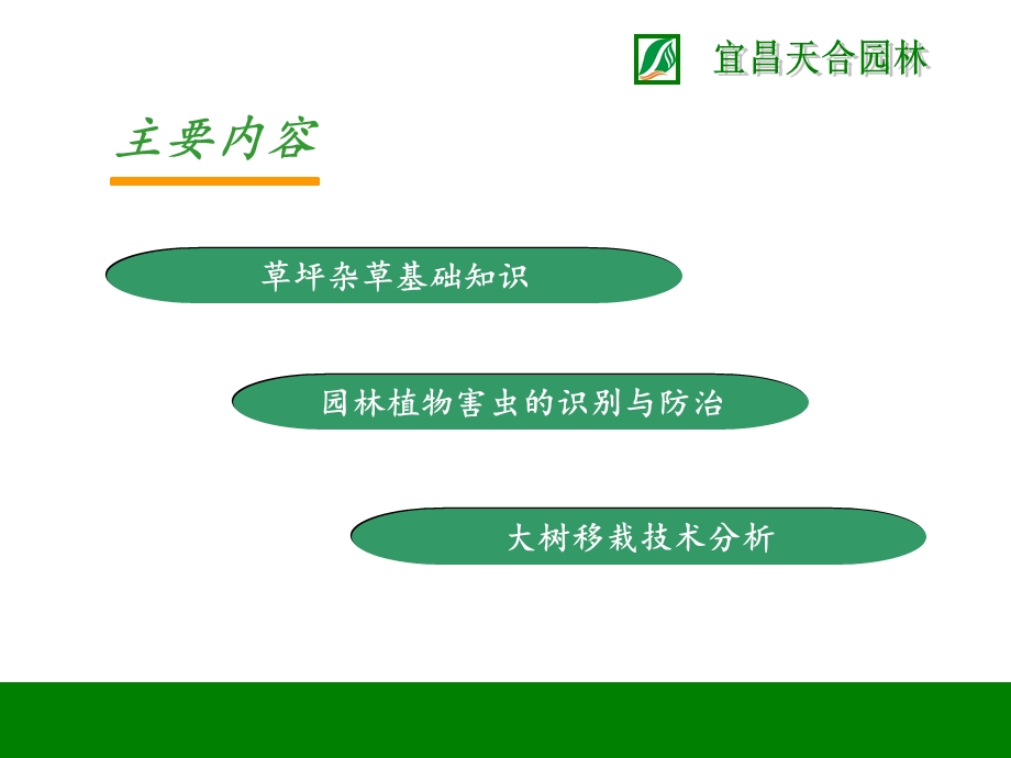 草坪杂草基础知识.ppt_第2页