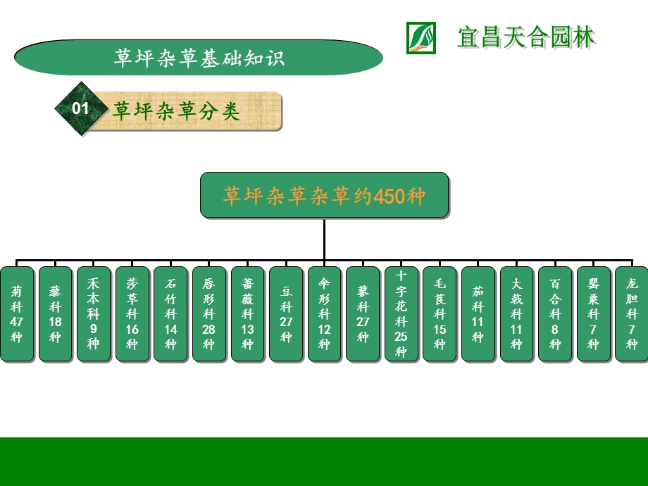 草坪杂草基础知识.ppt_第3页