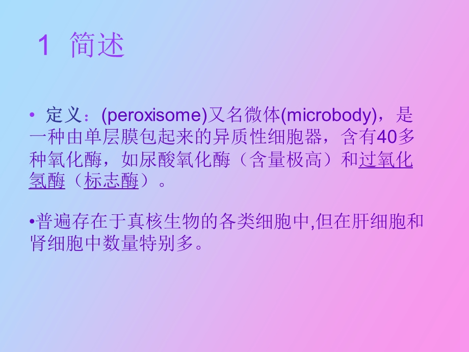 过氧化物酶体.ppt_第3页