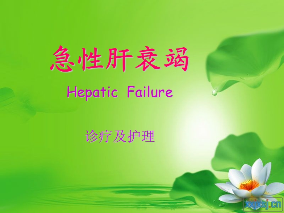 肝衰竭的诊疗及护理.ppt_第1页