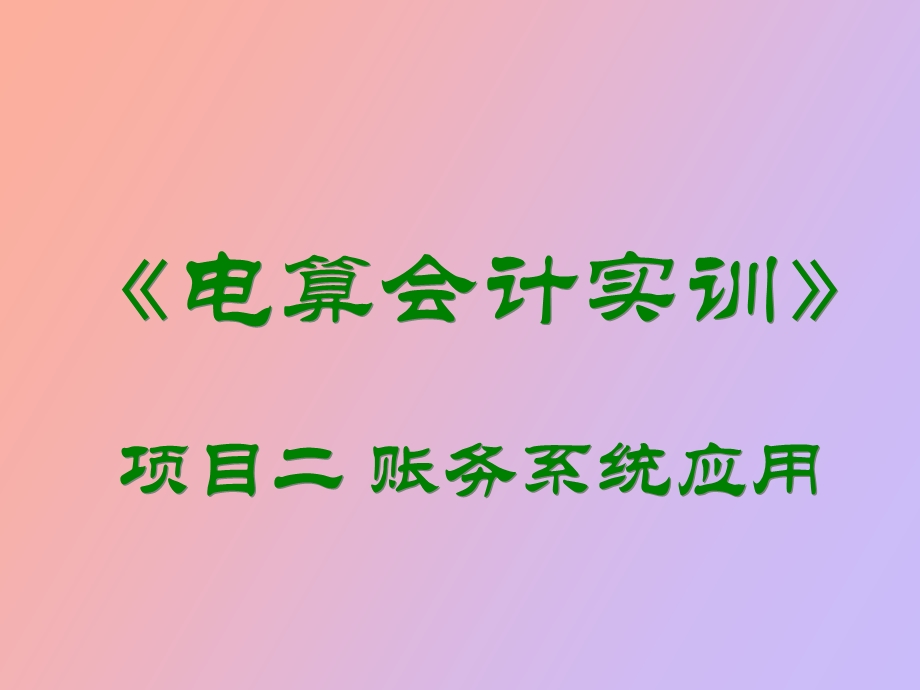 电算会计实训.ppt_第1页