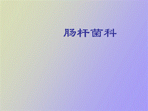 肠杆菌科鉴定全.ppt