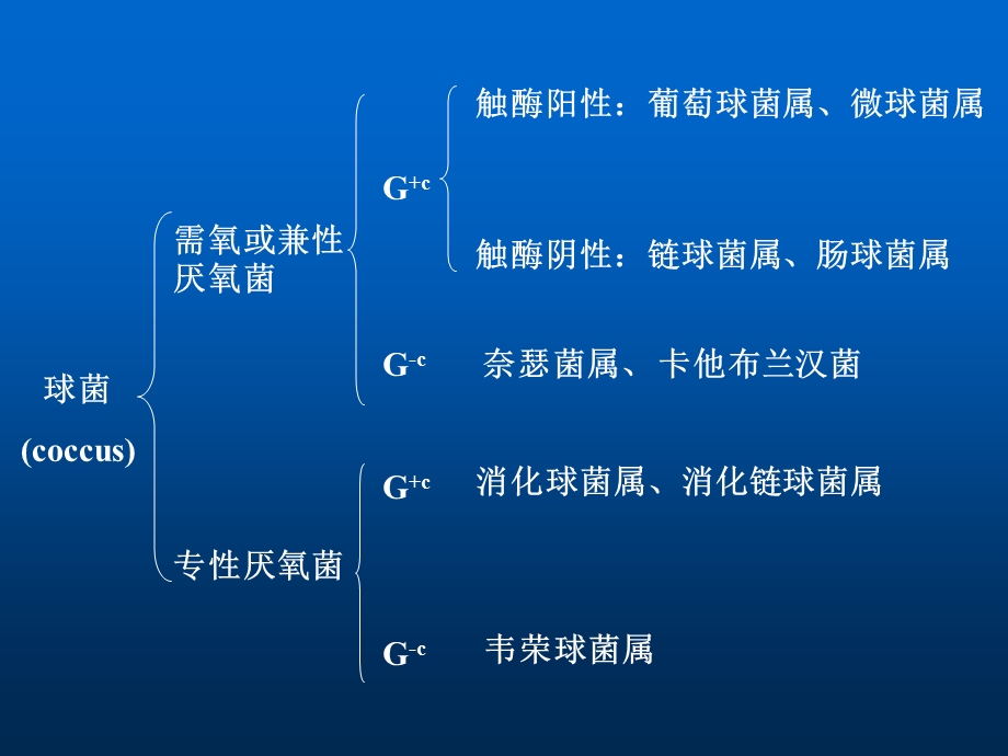 病原性球菌及检验1葡萄球菌.ppt_第2页