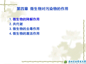 环境生物学-共代谢.ppt