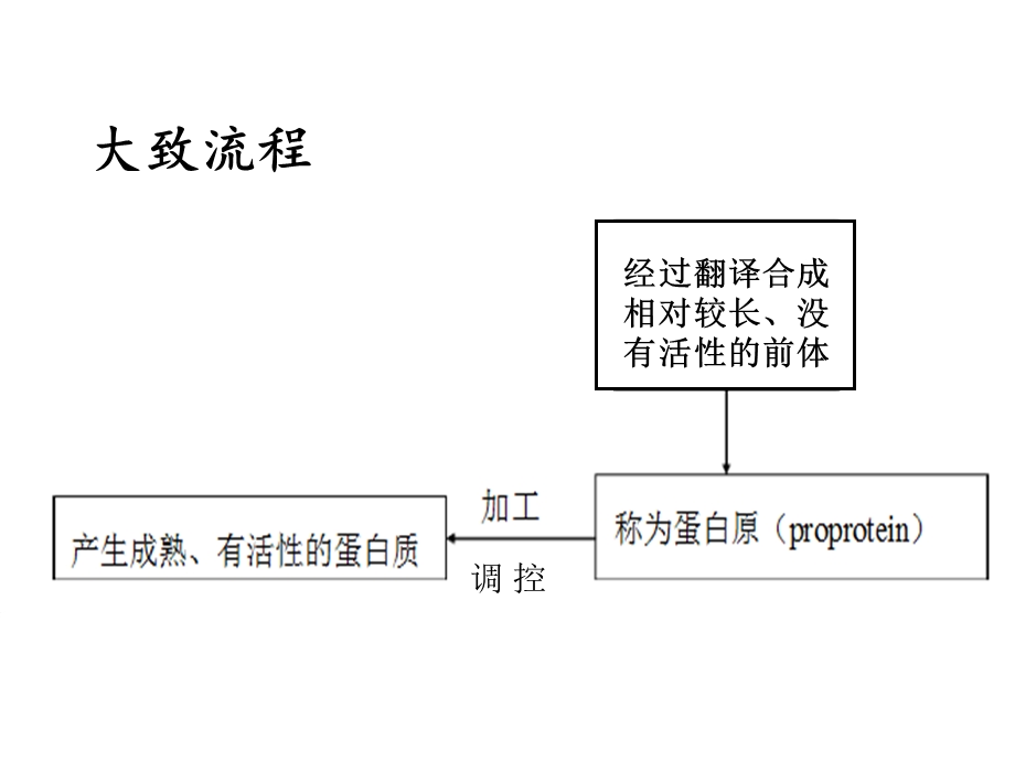 翻译后的基因表达调控.ppt_第3页