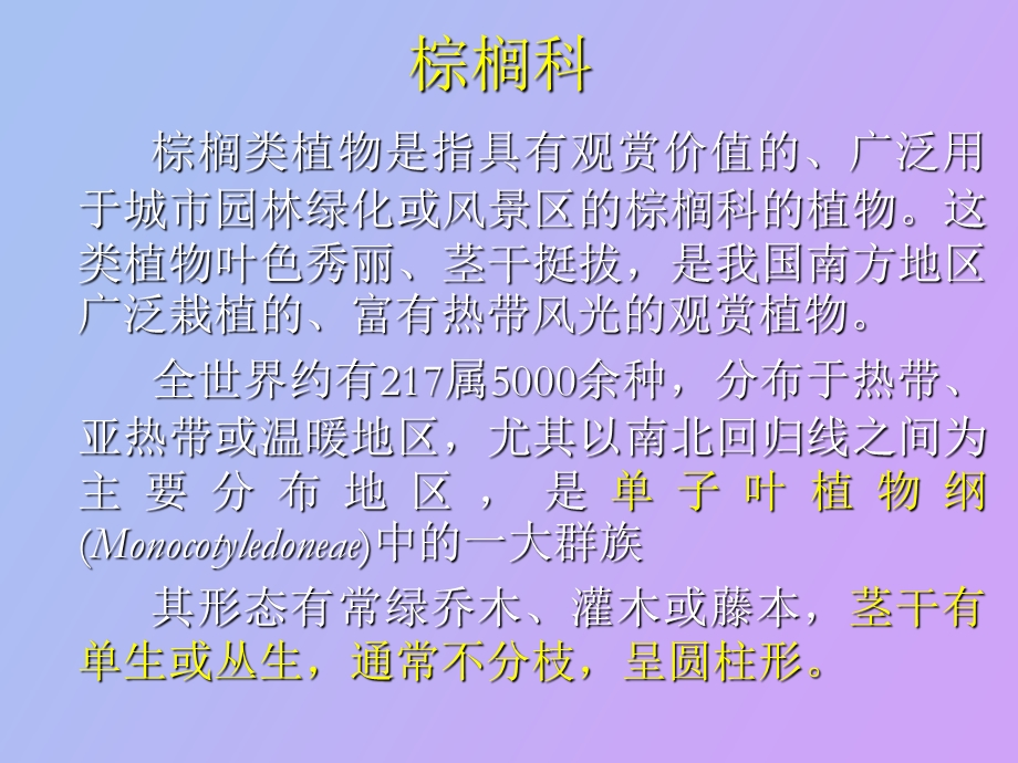 观赏植物棕榈.ppt_第3页